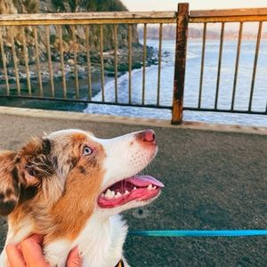 Meet your Posher, Alyse